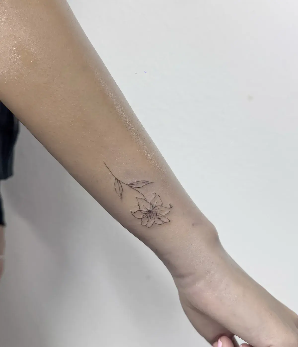 Single Stem — Jia Jia