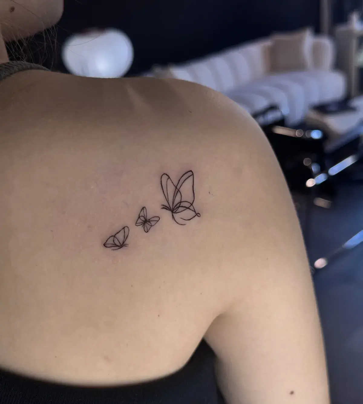 Wing — Jia Jia