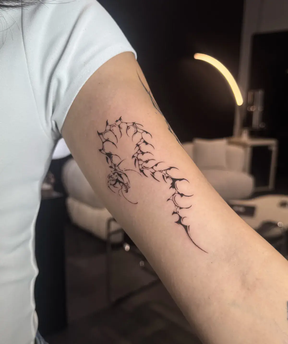 Soft Line — Jia Jia