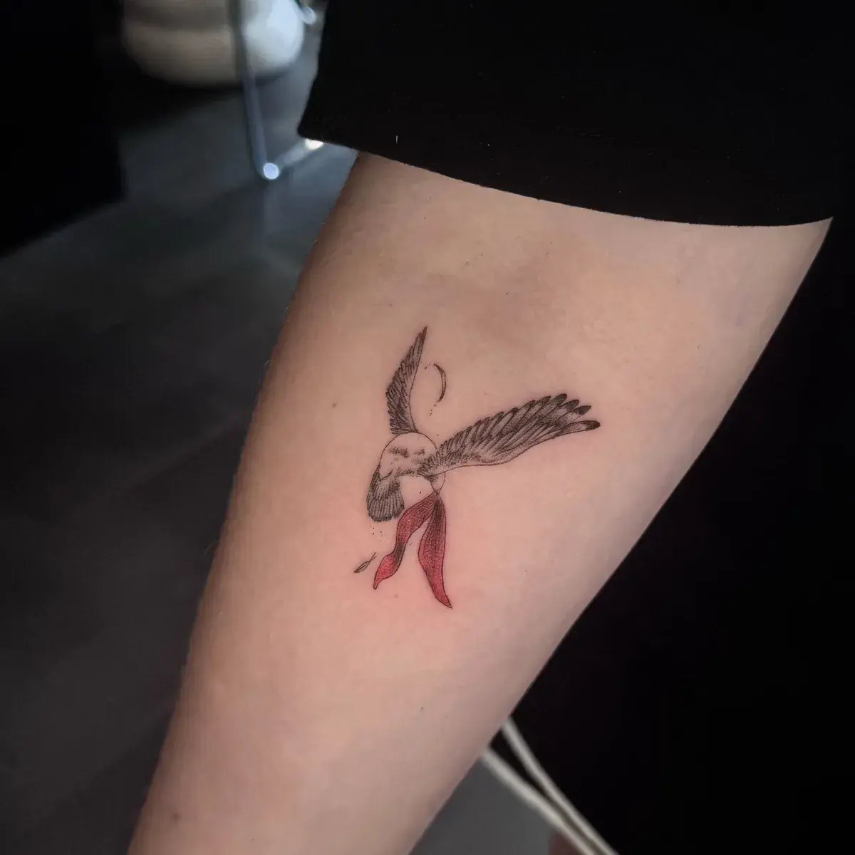 Hummingbird — Jia Jia
