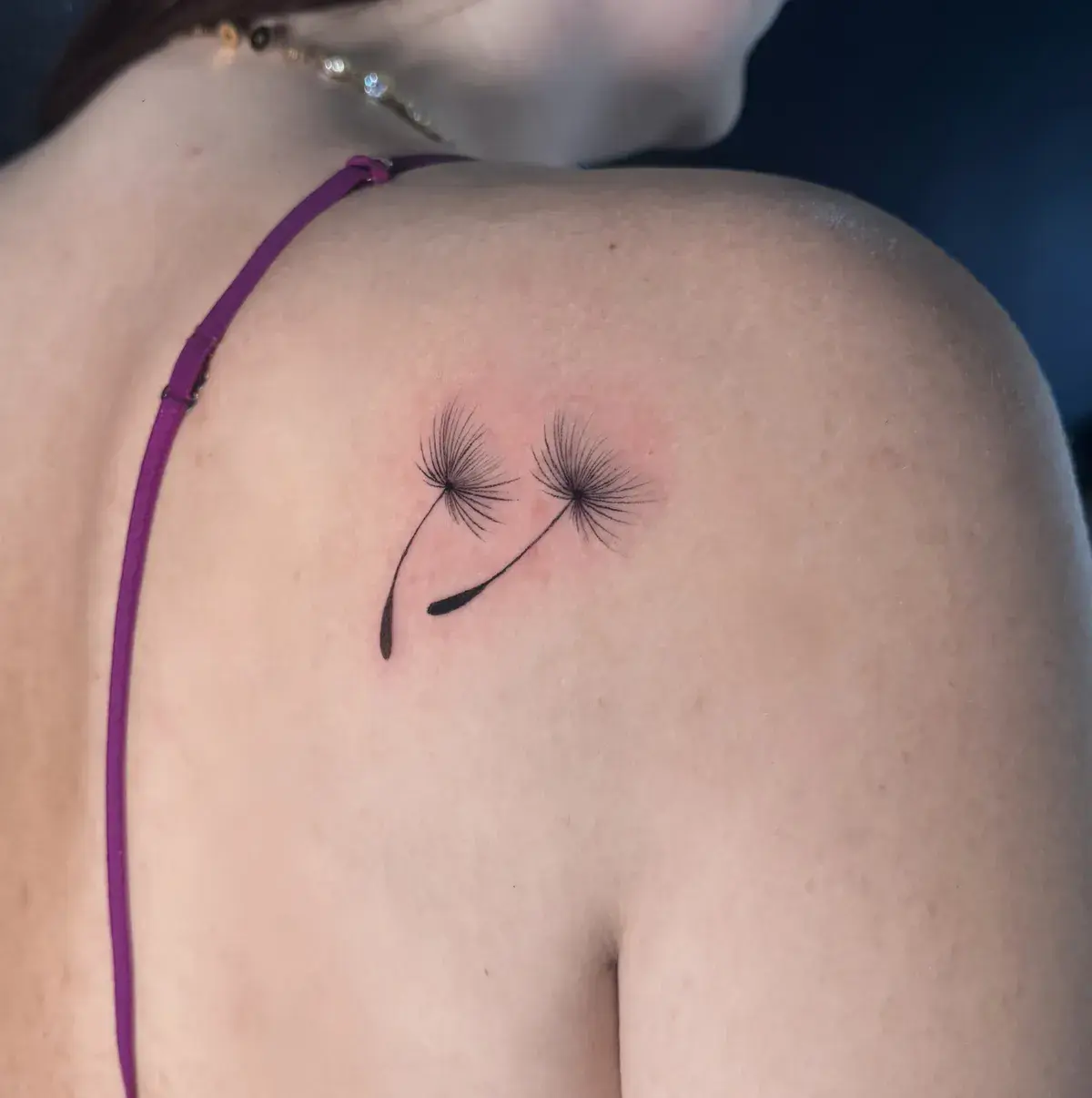 Dandelion — Jia Jia