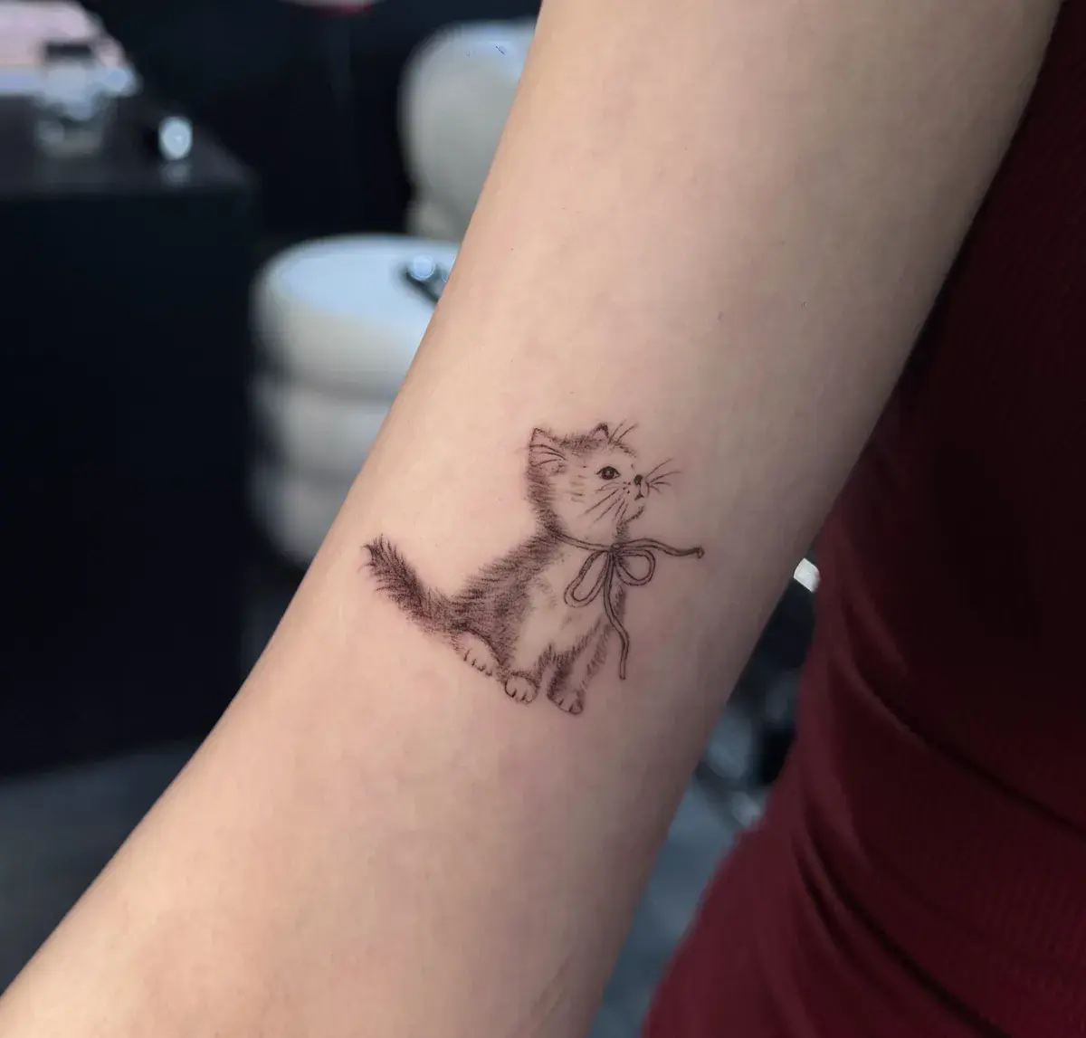 Curious Cat — Jia Jia