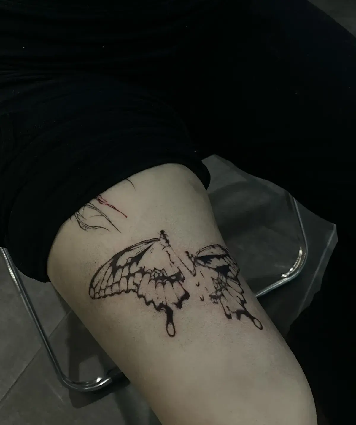 Phoenix — Jia Jia